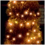 Home Dekorativna LED rasvjeta, LED svjetlosni niz - LED 100/A | shoptok.hr