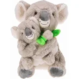  Koala z mladičkom