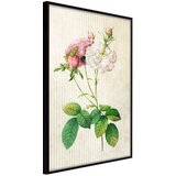  Poster - Romance I 30x45 Cijene