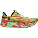 Asics Tek & Trail Noosa Tri 15 Zelena | Shoptok.si