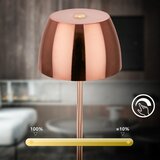 BRILONER LED prigušiva punjiva dodirna spoljna stona lampa MINI LED/2,5W/5V IP44 1800 mAh bakarna | Eponuda.com