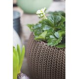 Keter Plastičen viseči cvetlični lonec ø 36 cm Cozy – | Shoptok.si