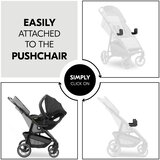 Hauck Hauch univerzalni adapter Shop N Care - crni | shoptok.hr