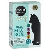 4 x 40 g Cosma Soup poskusno pakiranje - Miks 2 (4 vrste) | shoptok.hr