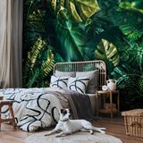  Foto tapeta - Emerald Jungle 343x256 | shoptok.hr
