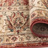 Asiatic Carpets Rdeča preproga 160x220 cm Raja – | Shoptok.si