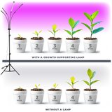  LED prigušiva podna lampa za gajenje biljaka VITARO 4xLED/7,5W/230V crna | Eponuda.com