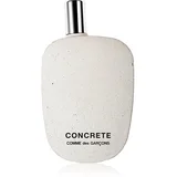 Concrete parfumska voda uniseks 80 ml