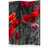  Paravan u 3 dijela - Red Poppies [Room Dividers] 135x172 | shoptok.hr