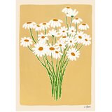 The Poster Club Plakat 30x40 cm Daisies – | Shoptok.si