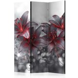  Paravan u 3 dijela - Shadow of Passion [Room Dividers] 135x172 | shoptok.hr