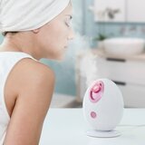 Paket Set Električna Parna Sauna i Električni Čistač Pora InnovaGoods | shoptok.hr