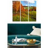 Wallity MDF110406425 multicolor decorative mdf painting (3 pieces) Cene