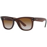 Ray-ban Wayfarer Reverse RBR0502S 6709CB - L (53) Cijene
