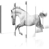  Slika - Horse- passion and freedom 200x100 Cijene