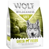 Wolf of Wilderness Povoljno! 1 kg - Green Fields - janjetina (Soft & Strong)