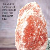 Lampa Himalajska solna svjetiljka | shoptok.hr