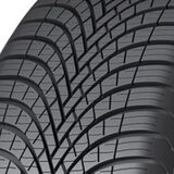 Sava celoletne pnevmatike All Weather 195/55R16 87H | Shoptok.si