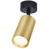  Brilagi - Spot svetlo SELE GOLDEN 1xGU10/30W/230V crna/zlatna | Eponuda.com