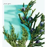 Tiffany & Co. Tiffany & Love toaletna voda za moške 50 ml | Shoptok.si