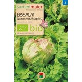 Samen Maier Ekološka ledenka "Grazer Krauthäuptel 2" Cene