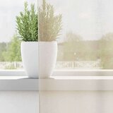 Voile zavjese s ušicama 2 kom krem 140x260 cm | shoptok.hr