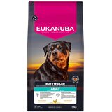 Eukanuba Adult Breed Care Rottweiler - 12 kg Cijene