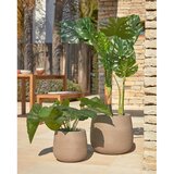 Kave Home Umetna rastlina (višina 57 cm) Odora – | Shoptok.si