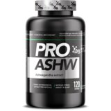 Basic Supplements ašvaganda kapsule - 120kap 120 kapsula Cene