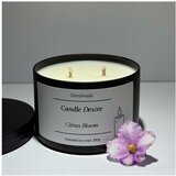  Mirisne sveće - Crna metalna kutija - Citrus Bloom | ePonuda.com