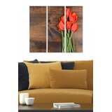 Wallity Set slika MDF2695299, 3 dijela | Eponuda.ba