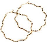  Naušnice AL-20575 - Zlatna KP20575 | shoptok.hr