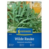 KIEPENKERL Zelenjavna semena Tankolistni dvoredec (Diplotaxis tenuifolia, Čas žetve: Maj) | Shoptok.si