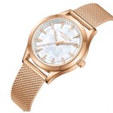  ROČNA URA LEE COOPER LC08156.420 | Shoptok.si