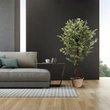 MID.YOU Umetna Rastlina Ficus | Shoptok.si