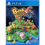  Birthdays the Beginning (PS4) | Shoptok.si