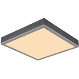 Globo LED stropna svjetiljka Doro (12 W, Srebrna, Bijela, Topla bijela, Kvadratna) | shoptok.hr