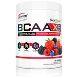 Genius Nutrition Aminokiselina BCAA-X5, Crvena energija, 360 g Cene