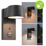 PAULMANN 94714 - LED/6W IP44 Spoljašnje zidno svetlo sa senzorom CAPERA 230V | Eponuda.com