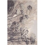Agnella Siva/kremno bela volnena preproga 200x300 cm Lissey – Cene