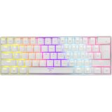 White Shark Gaming tastatura Shinobi GK-2022 | Eponuda.ba