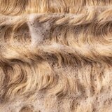 Pureology Strength Cure Blonde vijoličen šampon za blond lase za ženske 266 ml | Shoptok.si