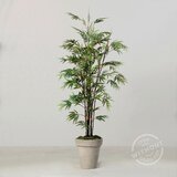 XXXL UMETNA RASTLINA Cene