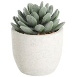 Eglo living veštačko cveće chitose 428011 | Eponuda.com