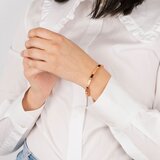 Lotus LS1846-2-3 | Shoptok.si