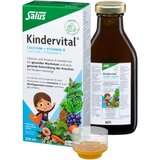 Salus Floradix Kindervital, 250 ml Cene