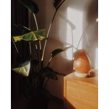  Solna lampa - kap | shoptok.hr