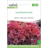 Bio Lollo rdeča "Lollo Rossa"