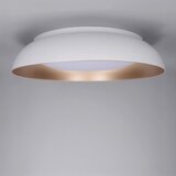  Brilagi - LED prigušiva svetiljka ALVA LED/48W/230V 3000-6500K fi 51 cm bela + daljinski upravljač | Eponuda.com