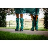 Horseware Ireland Transportni ščitniki Signature, Hunter Green - Full Cene